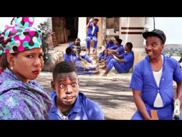 Bala Kafinta - 2019